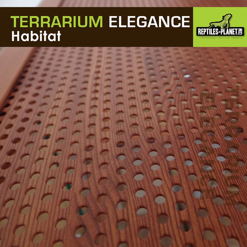 Miniature : Terrarium Aluminium Elegance - Bois - 120x50x90 cm