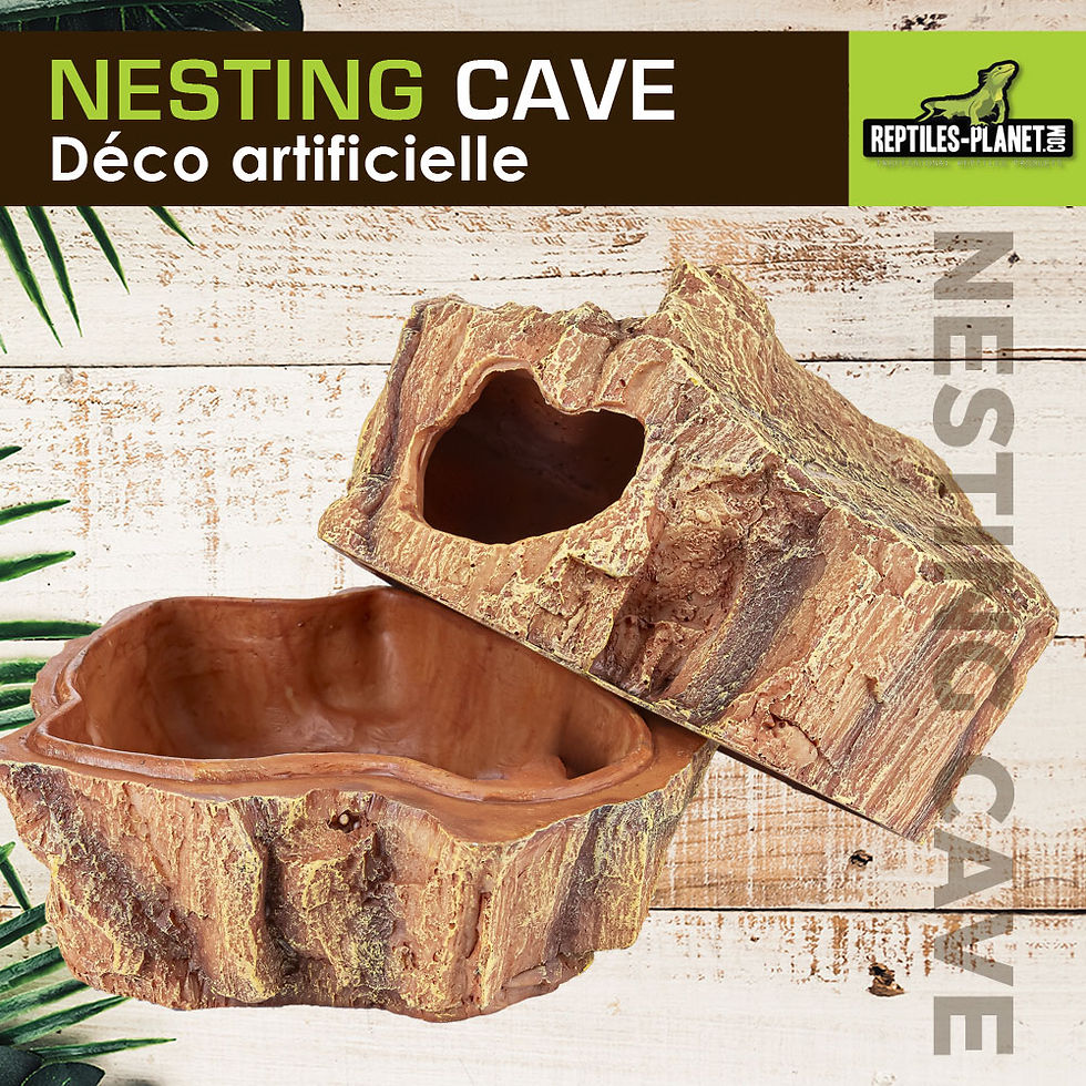 Miniaturbild: Nesting Cave XL - Eiablagehöhle für Geckos - 20,5x15,5x16 cm
