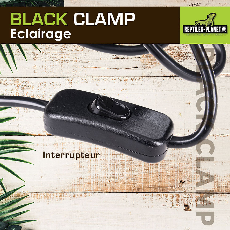 Miniatura: Black Clamp 18 - Supporto per Lampadina con Morsetto per Terrario - Ø 18 cm - H 22 cm
