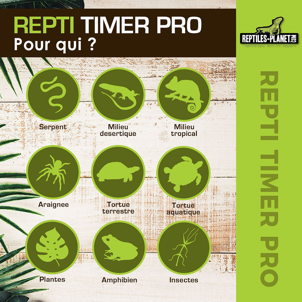 Miniatura: Repti Timer Pro - Programmatore Elettronico per Terrario
