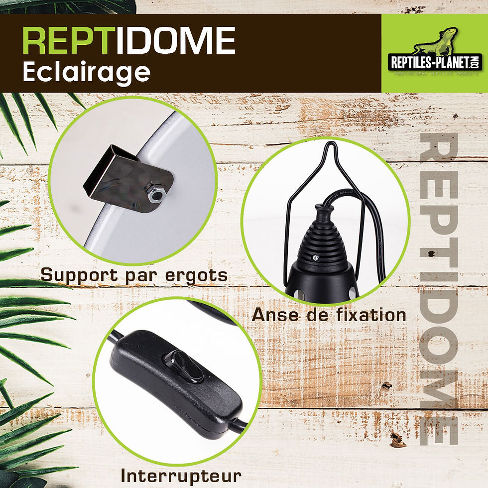 Thumbnail: Reptidome 22 - Lampenhouder om op te hangen of neer te zetten - Ø 22 cm - H24 cm
