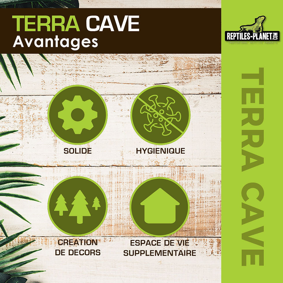 Miniatura: Terra Cave - 20x8x6,5 cm
