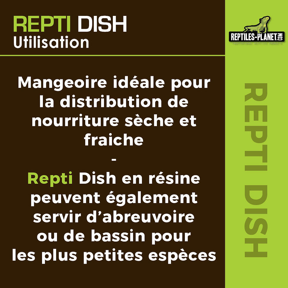 Thumbnail: Repti Dish Deep M - Feeding Bowl - 12x11.5x8 cm
