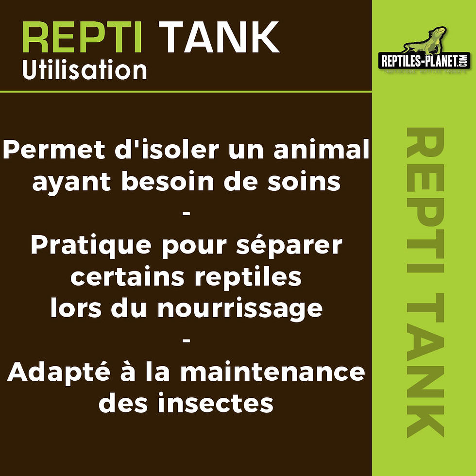 Miniaturbild: Repti Tank XL - Kunststoff-Terrarium mit abnehmbarem Deckel 38,5x24,5x24 cm
