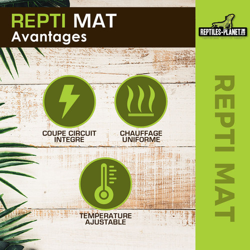 Tappetino Riscaldante Per Terrario, 45 W, 28 X 80 Cm, Tappetino Riscaldante Rettile, Cuscino Riscaldante Per Contenitori In Vetro, Tappetino Termico Regolabile, Per Terrario, Per Rettili, Tartarughe