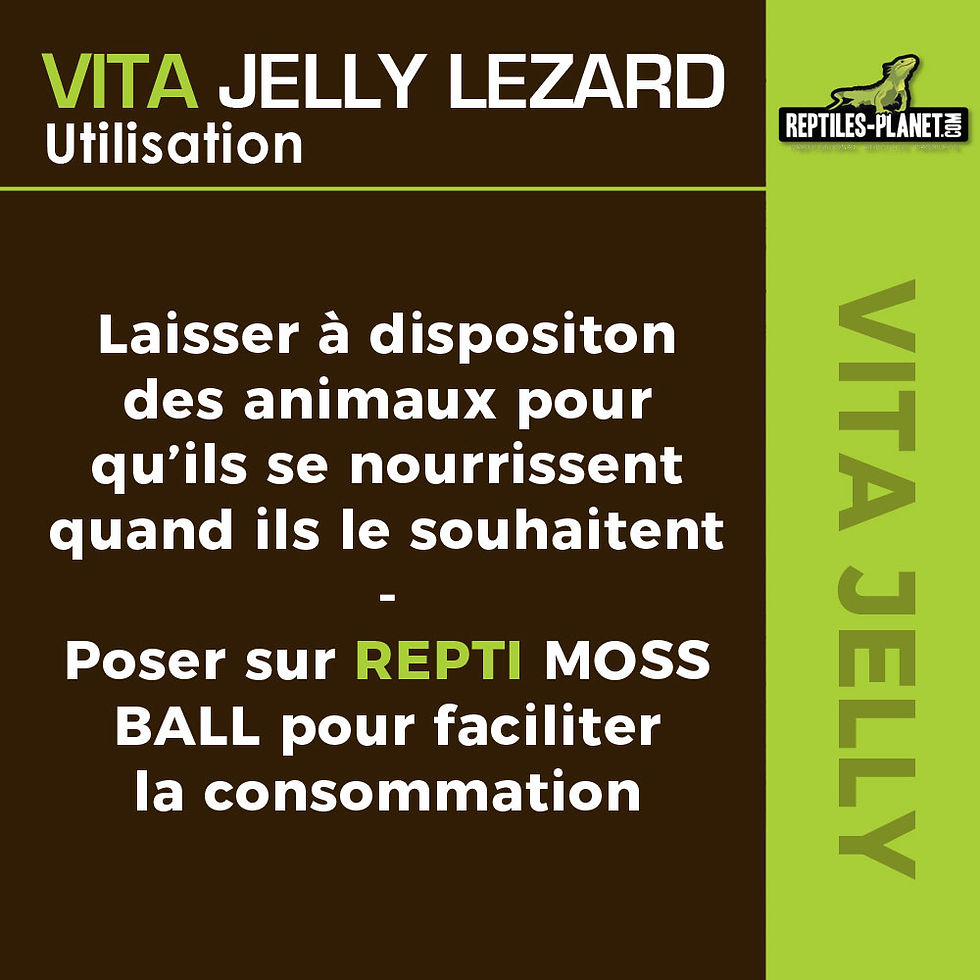 Miniatura: Vita Jelly Mix Lizard Food - 10 pcs