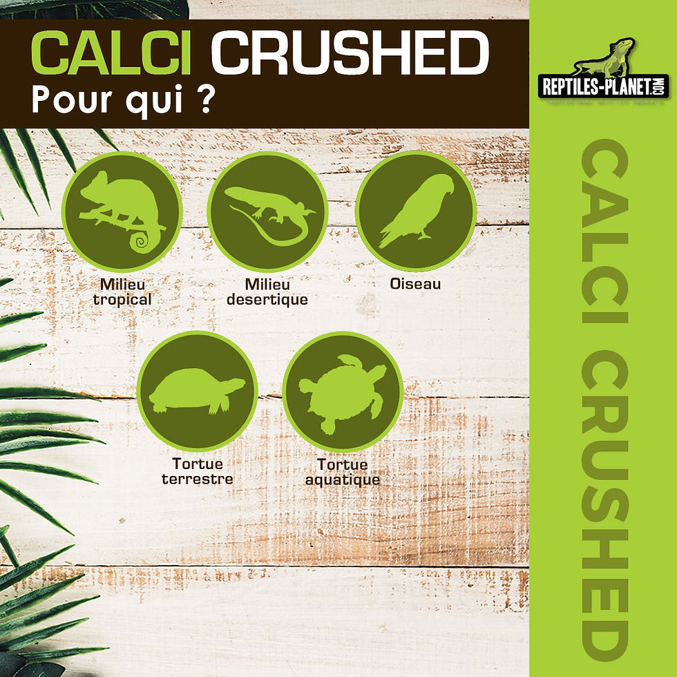 Miniatura: Calci Sepia Crushed - Osso de Choco Triturado - 100 g
