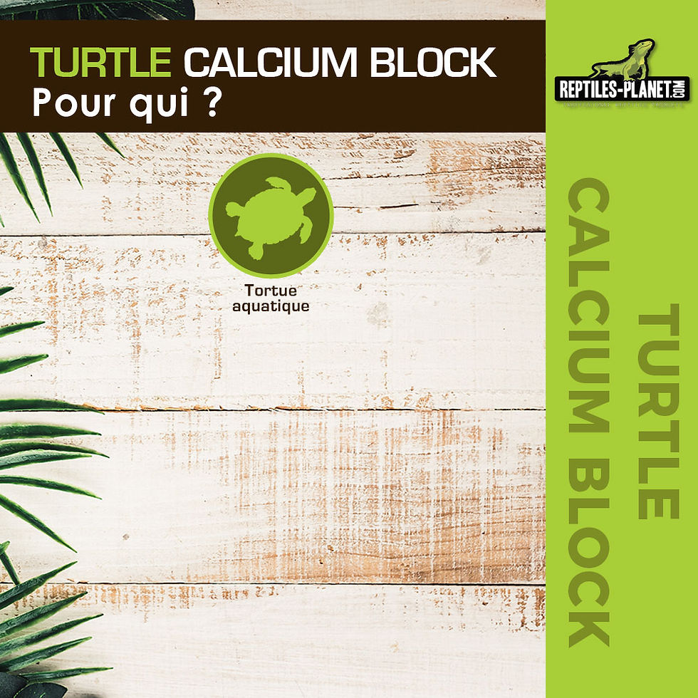 Thumbnail: Turtle Calcium Block - Calcium Block for Aquatic Turtles
