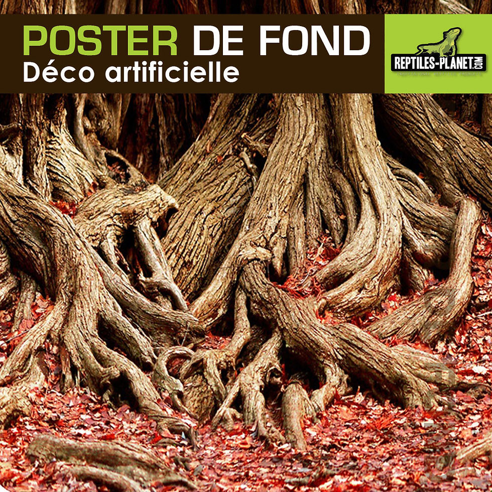 Miniatura: Poster di Fondo a Due Facce - Radici Desertiche o Tropicali - 0,30x15 m
