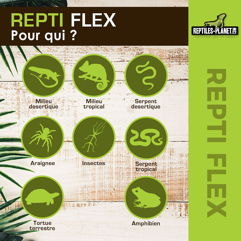 Miniatura: Repti Flex - 25W - 6 m -  Ø  7 mm