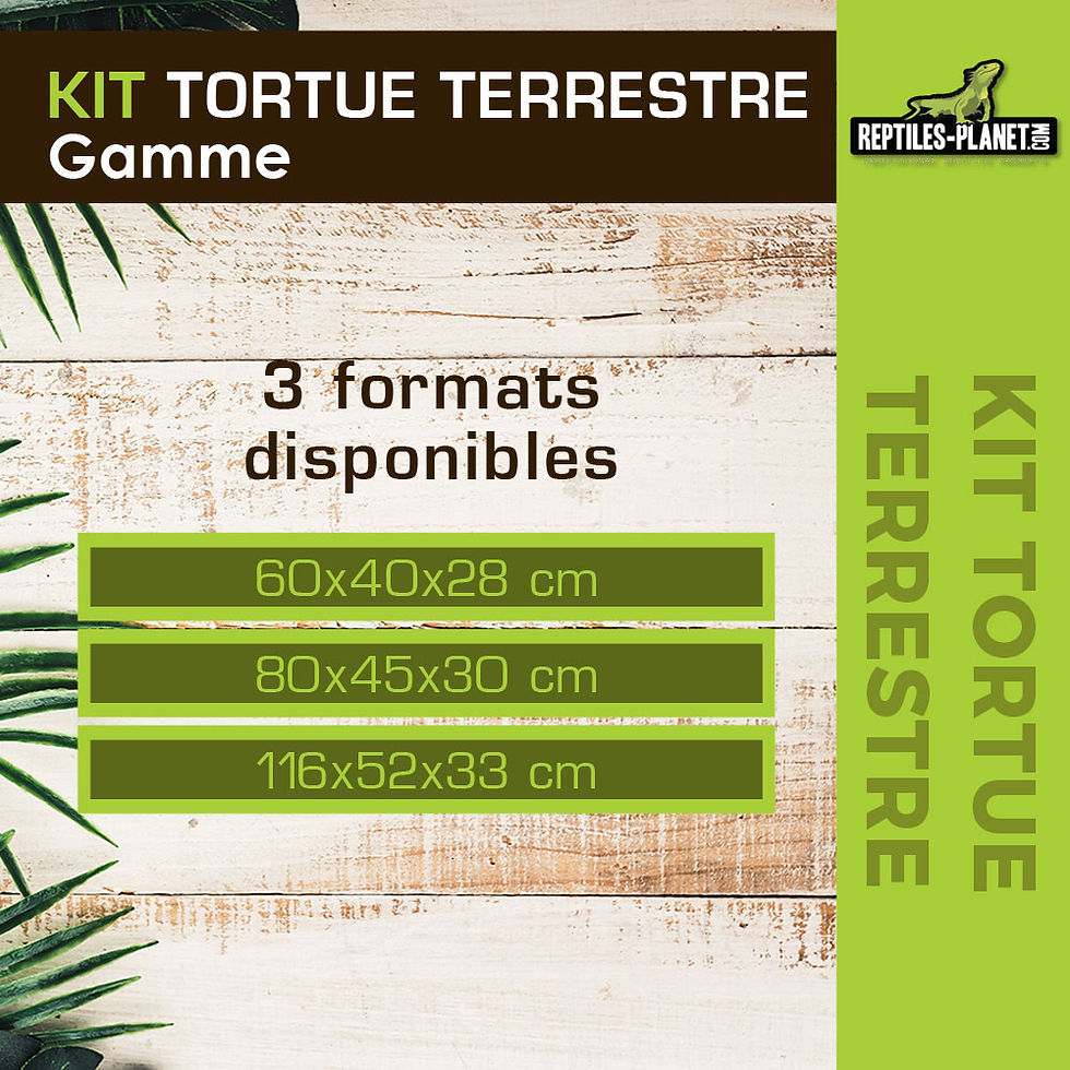 Miniature : Kit Tortue terrestre - Edition limitée - 60x40x28 cm