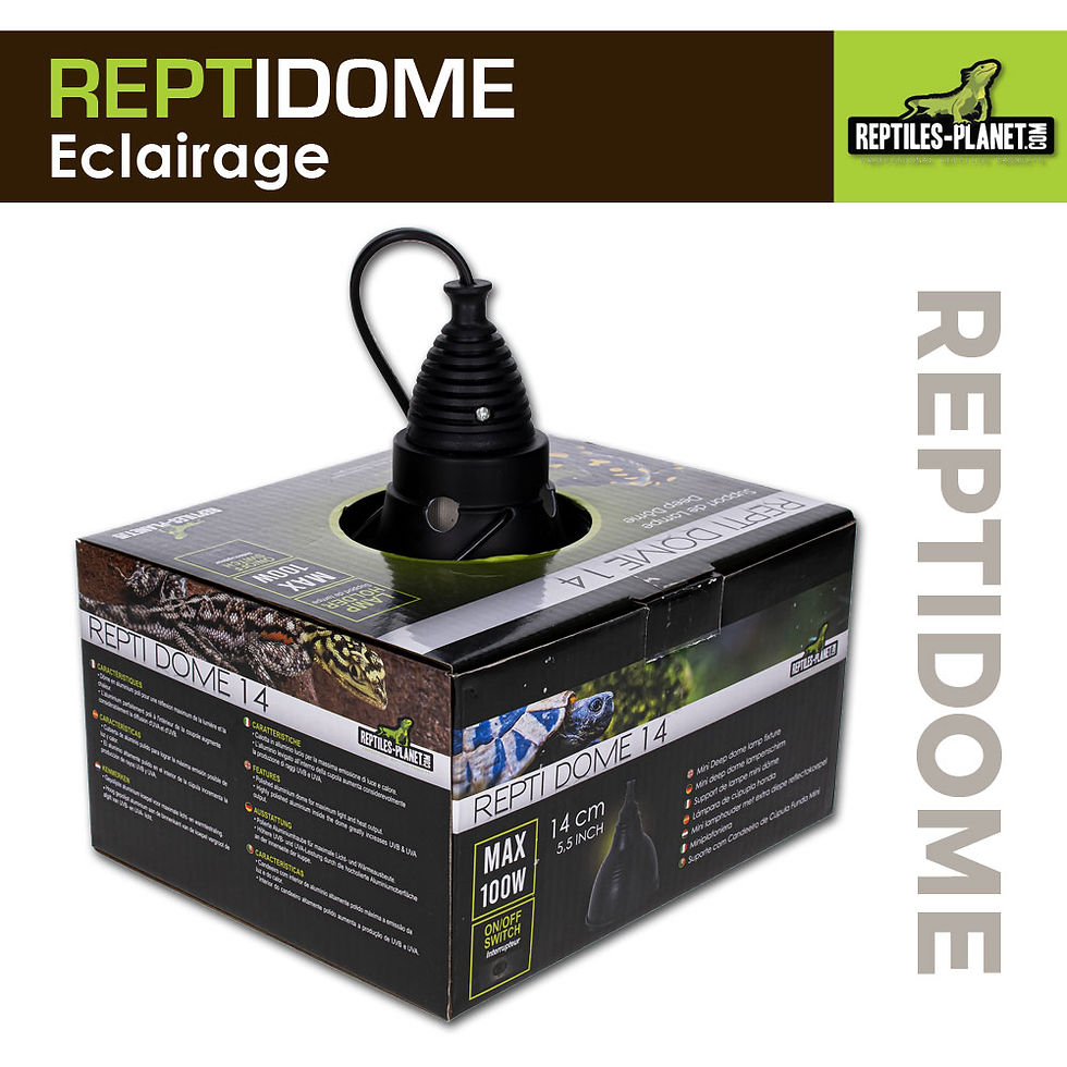 Miniatura: Reptidome 14 - Supporto per Lampadina da Sospendere o da Posare - Ø 14 cm - H18,2 cm
