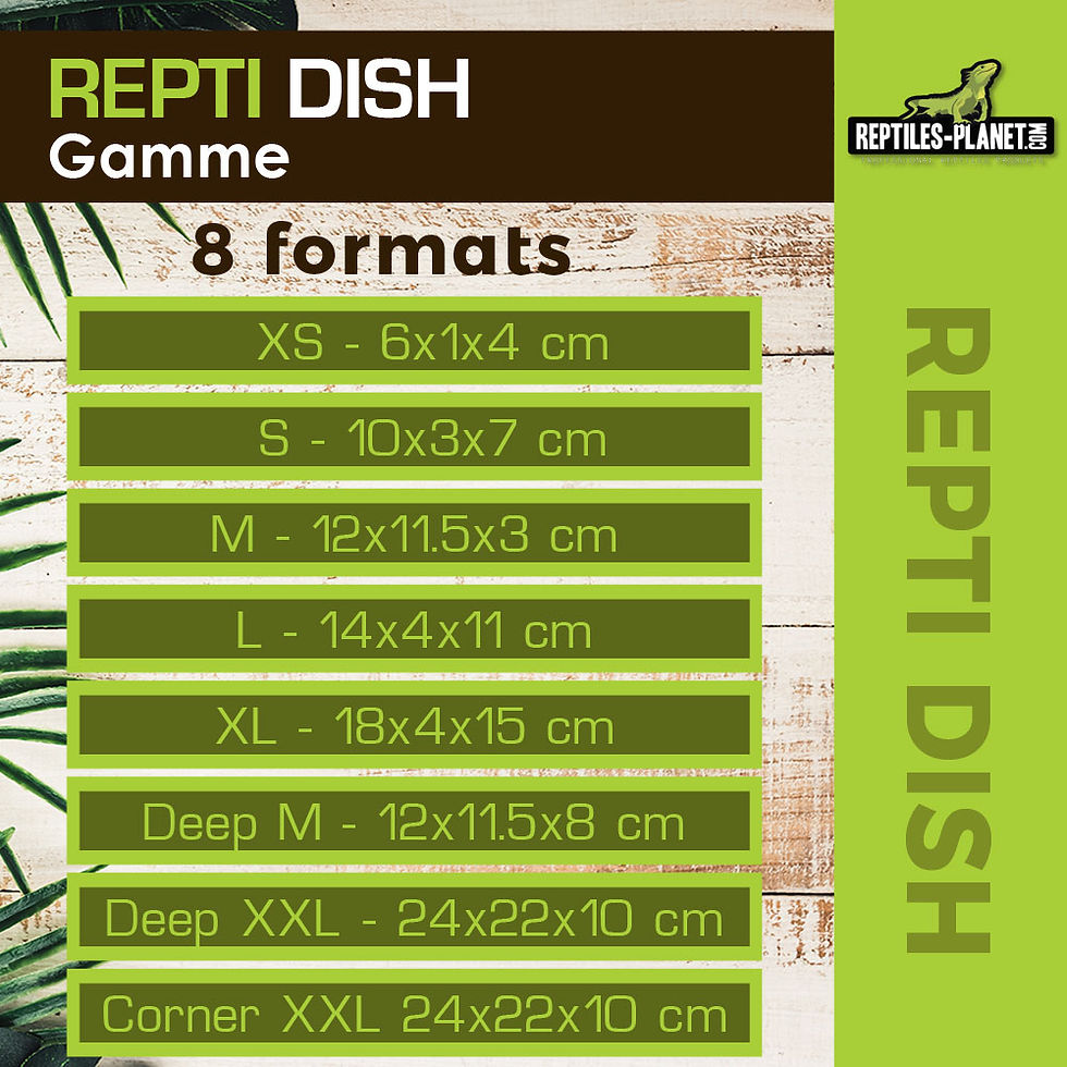Miniaturbild: Repti Dish S - Napf - 10x3x7 cm
