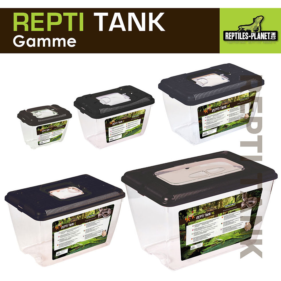 Miniaturbild: Repti Tank S - Terrarium aus Kunststoff mit abnehmbarem Deckel - 21,5x13,5x14 cm
