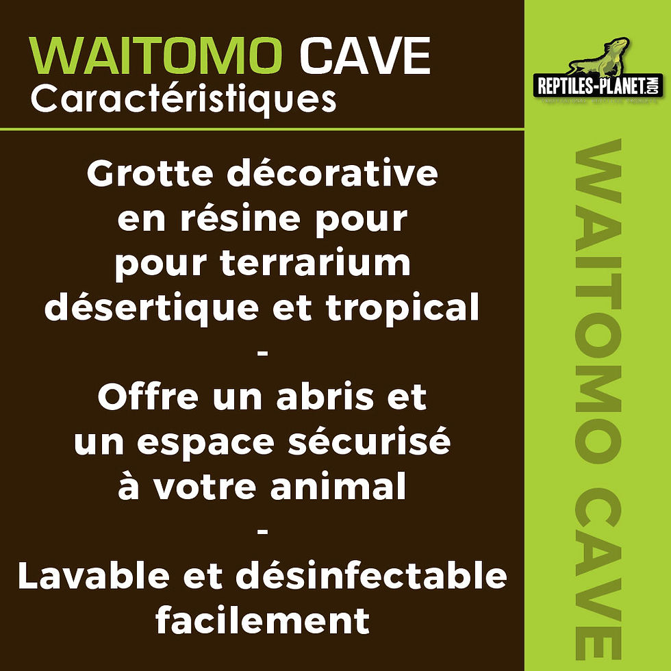 Miniatura: Decoración Waitomo Cave M - 15x14x9,5 cm