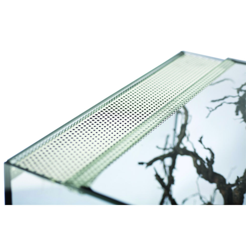 Miniature : Terrarium en verre - 30x25x25 cm