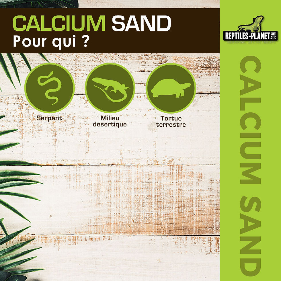 Miniatura: Calcium Sand Colorado Yellow - 5kg