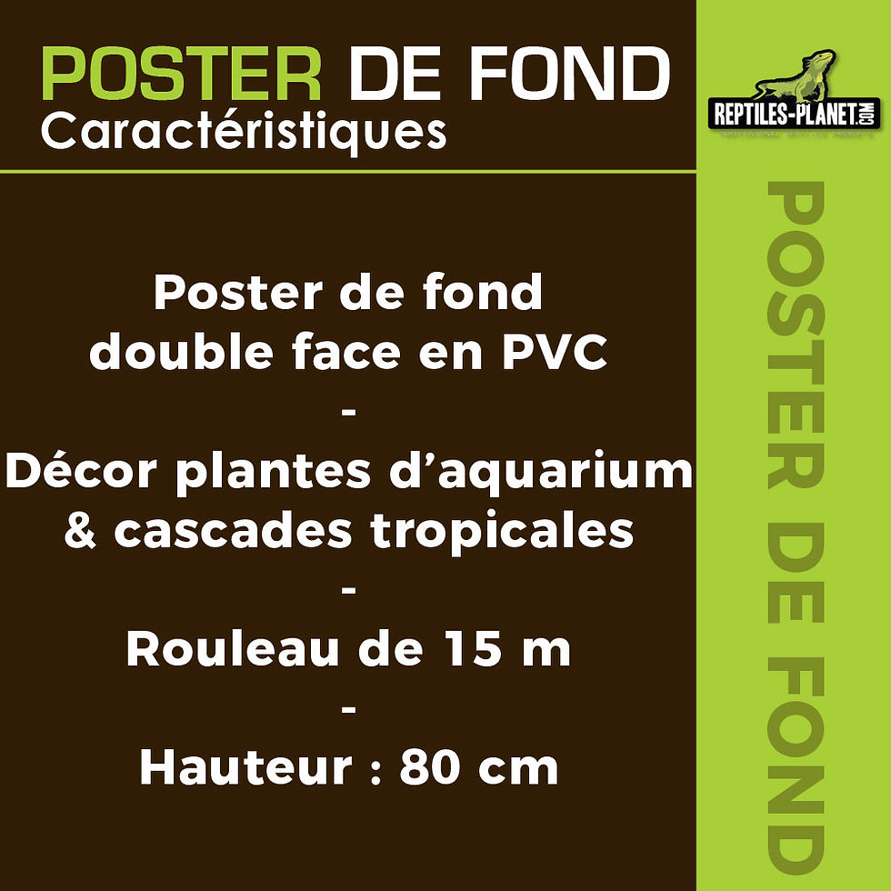 Miniatura: Poster di Fondo a Due Facce - Cascata Tropicale o Piante d’Acquario - 0,80x15 m
