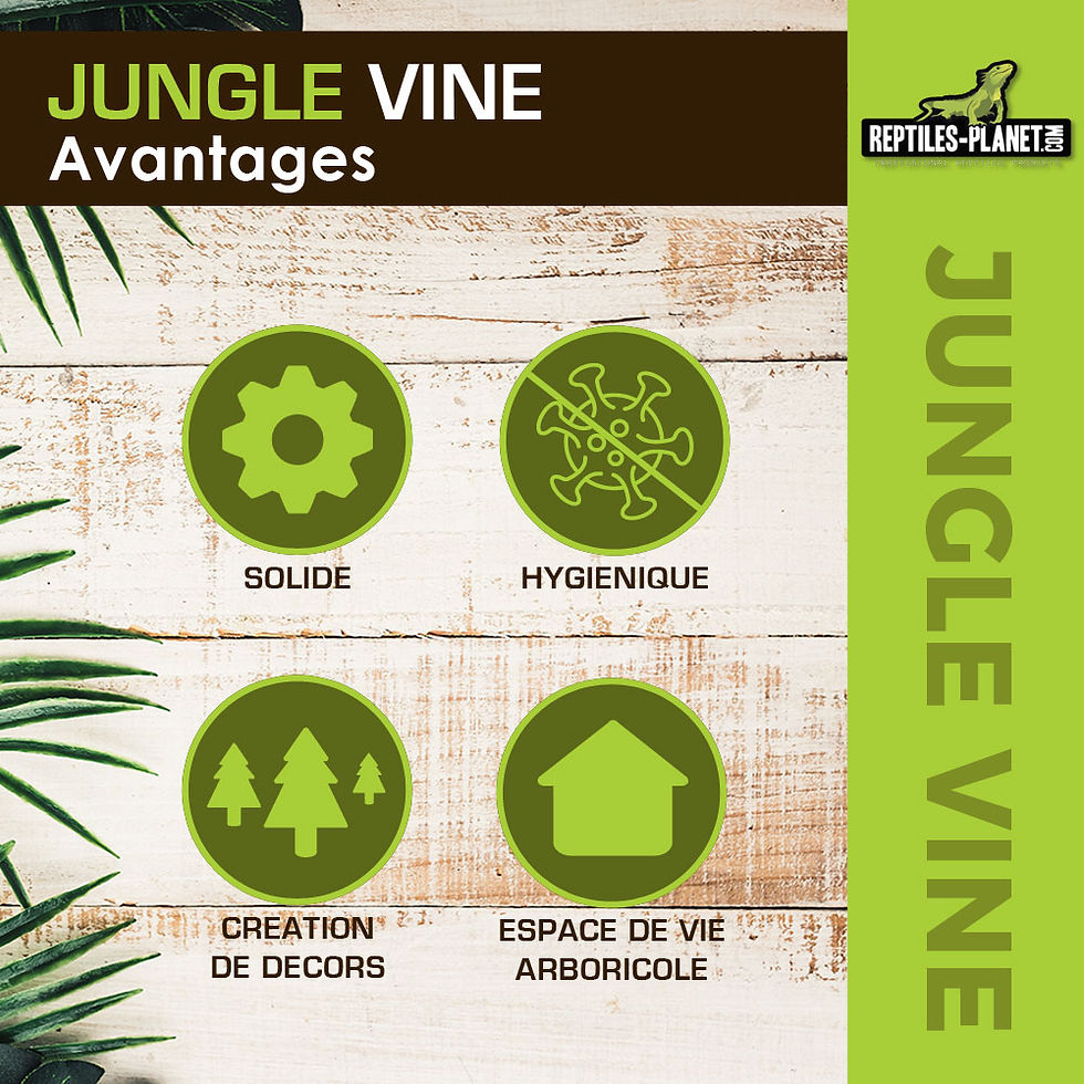 Miniatura: Planta de tela Amazon Jungle Vine - 2,6 m