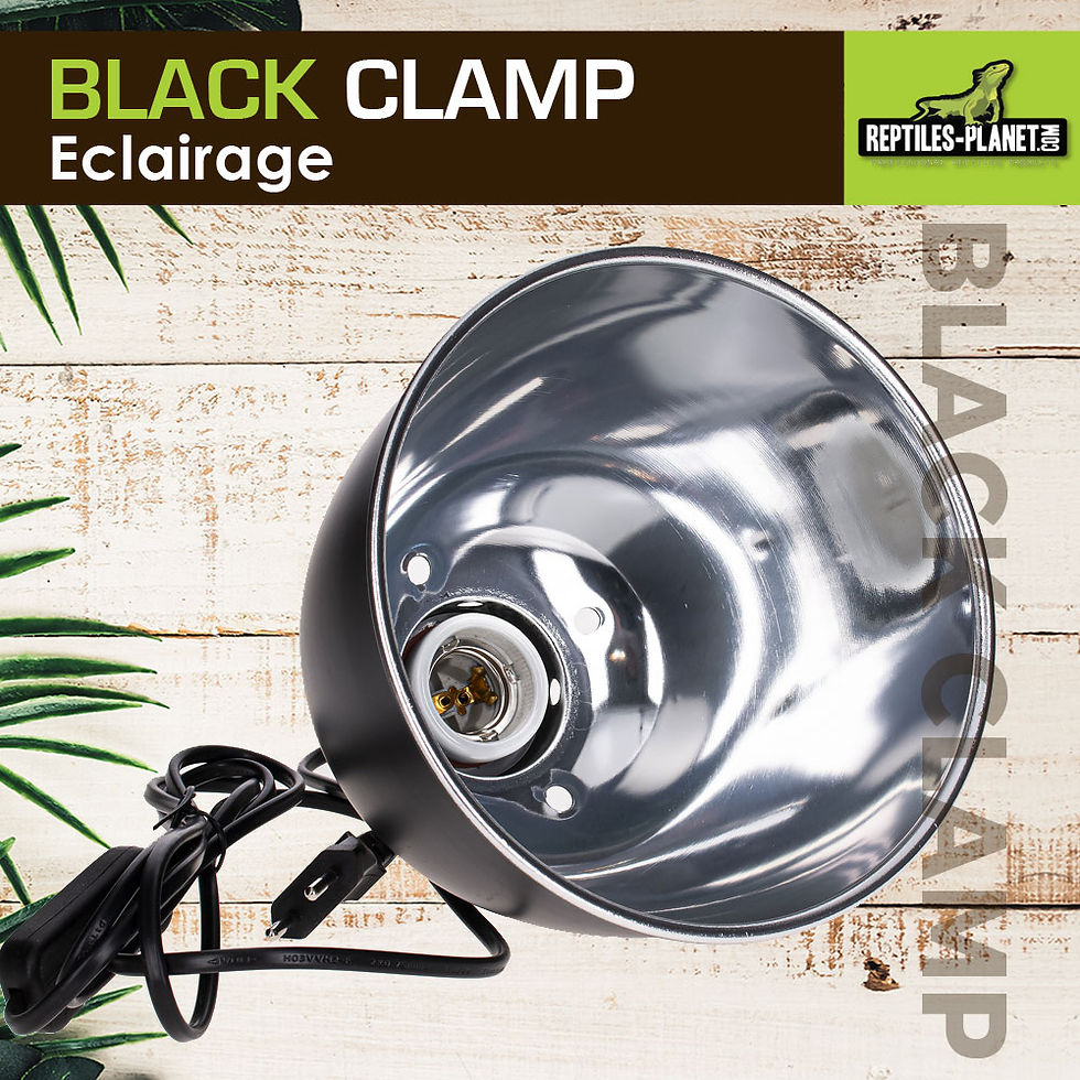 Miniaturbild: Black Clamp 18 - Lampenhalterung mit Klemme für Terrarium - Ø 18 cm - H 22 cm
