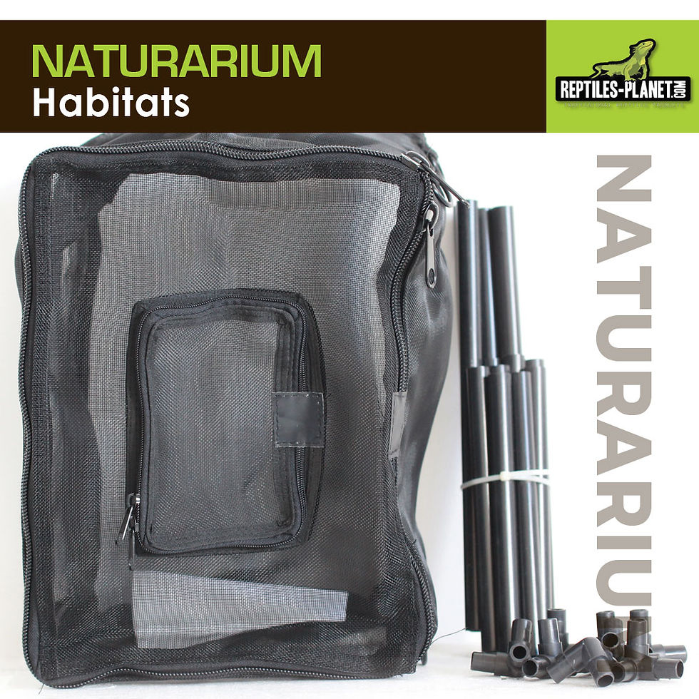 Miniatura: Naturarium - Terrario Rettangolare con Rete Flessibile - 75x45x120 cm
