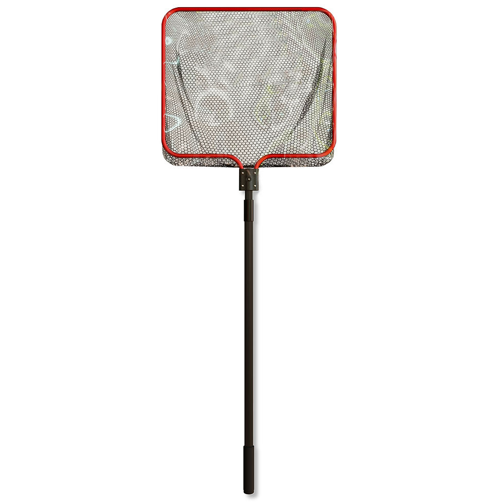 Épuisette ML pour vivier, conçue pour attraper facilement les crustacés en viviers professionnels.