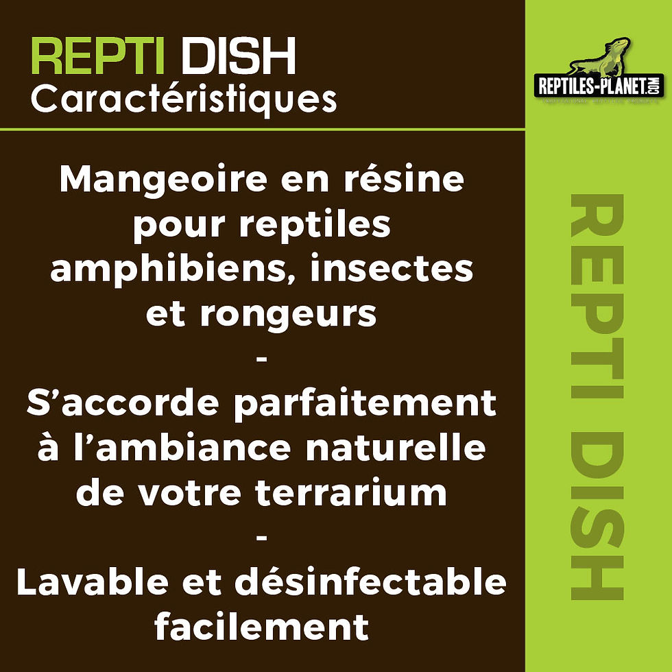 Miniaturbild: Repti Dish XL - Futterschale - 18x15x4 cm
