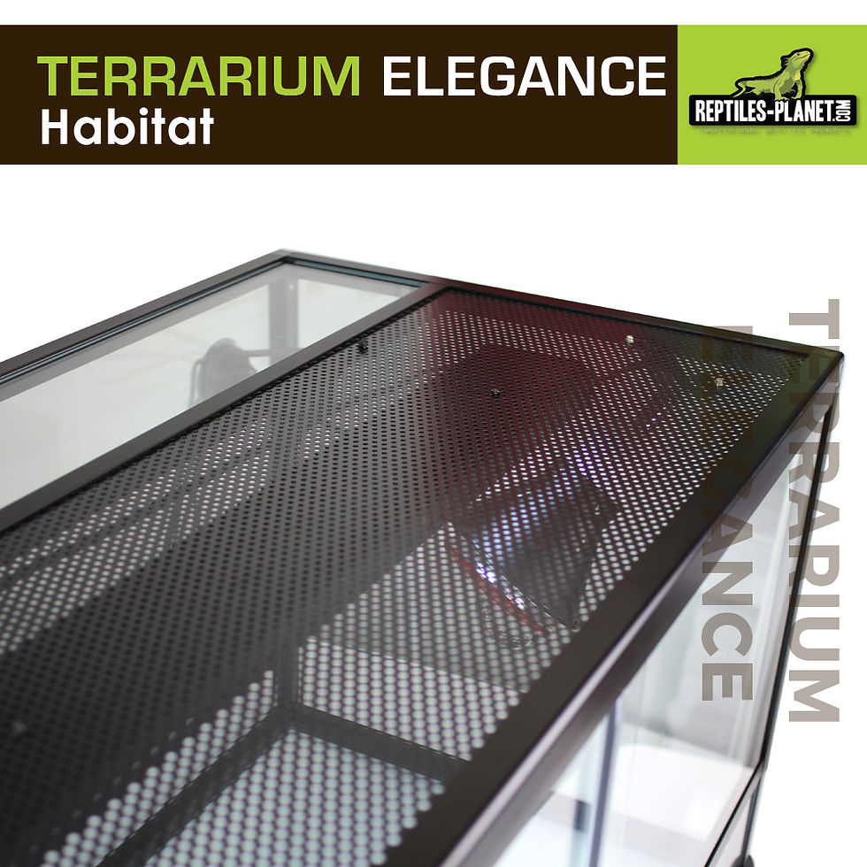 Miniatura: Terrário de Alumínio Elegance - Preto - 45x30x30 cm
