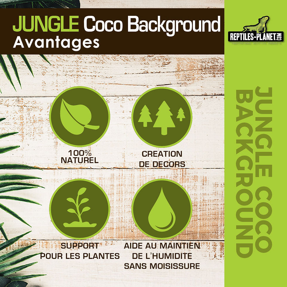 Thumbnail: Jungle Coco Background - Natuurlijke Achterwand van Kokosvezel - 30x30x1 cm
