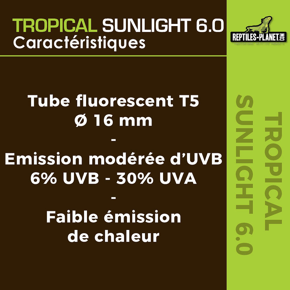 Miniatura: Tropical Sunlight 6.0 - Tubo Fluorescente T5 para Répteis - 39 W / 86 cm
