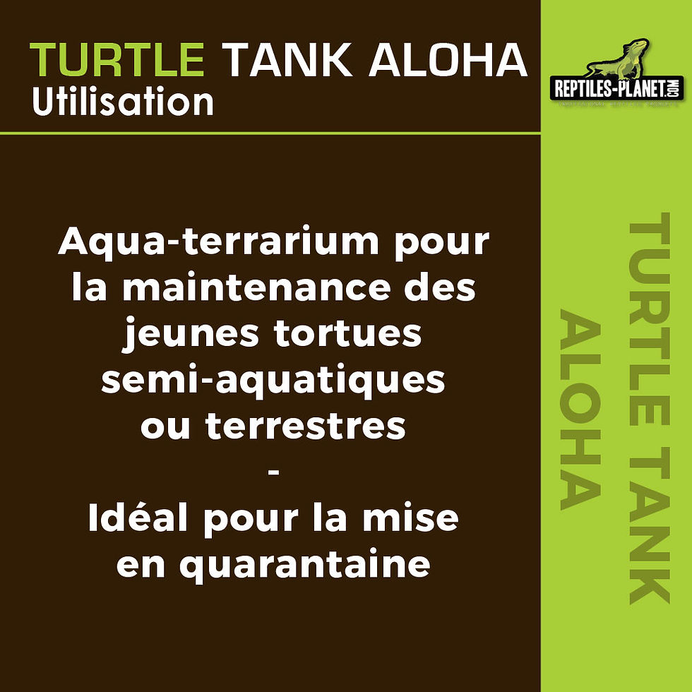 Thumbnail: Turtle Tank Aloha XL - Plastic Aquarium voor Schildpadden - 74x43x33 cm
