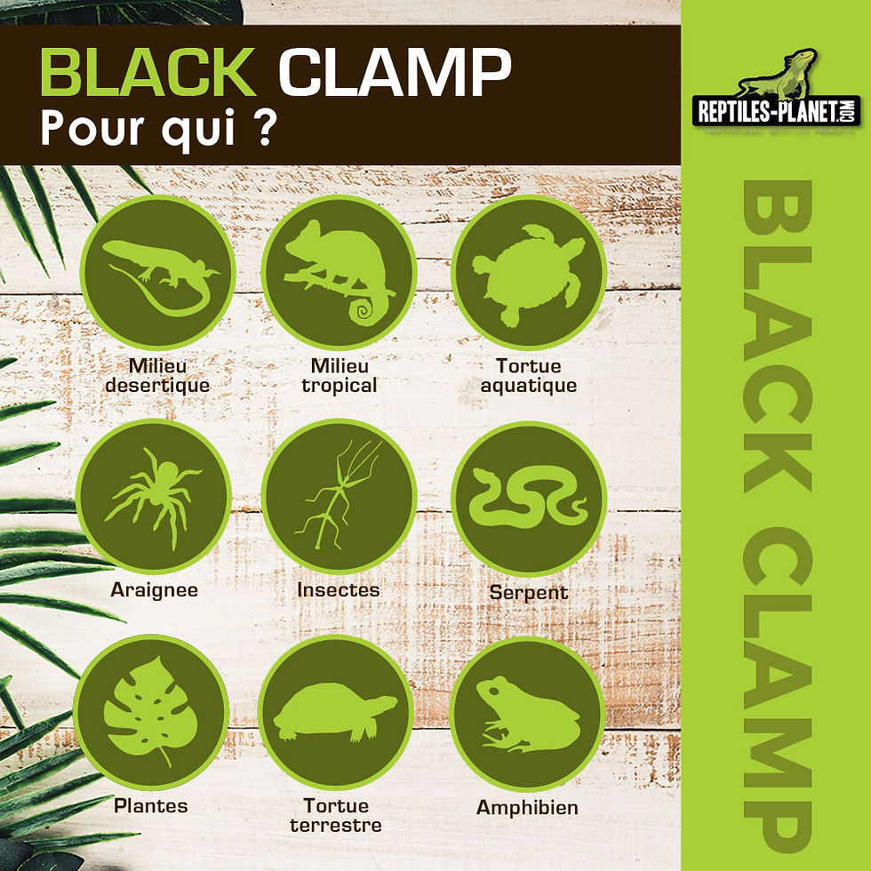 Miniaturbild: Black Clamp 14 - Lampenhalterung mit Klemme für Terrarium - Ø 14 cm - H 16 cm
