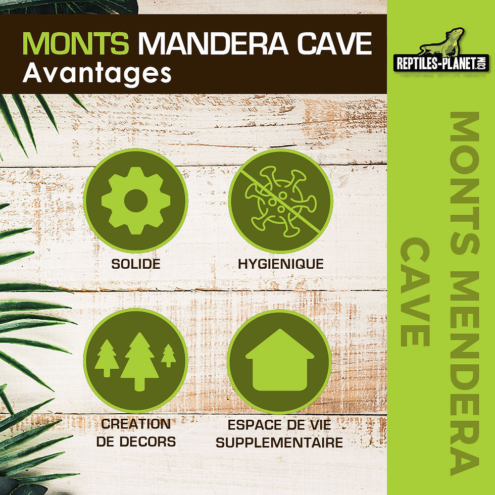 Miniatura: Decoración Monts Mandara Cave - 29x22x10 cm