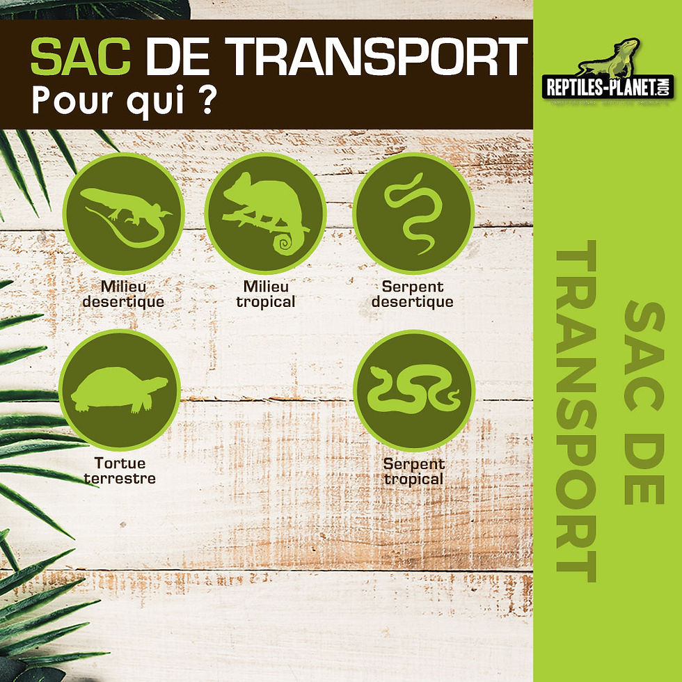 Miniatura: Saco de Transporte para Répteis - 40 x 70 cm

