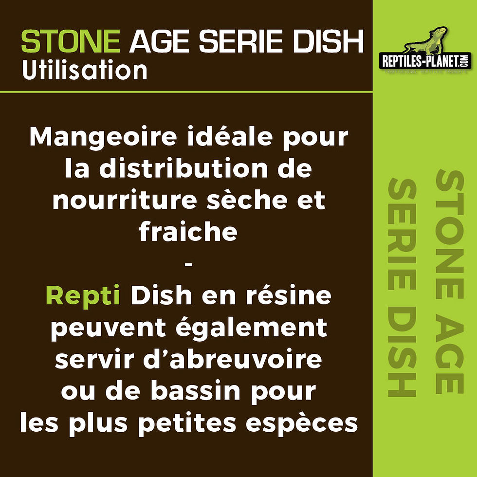 Miniaturbild: Stone Age Serie Dish L - Futterschale - 17,5x14x3,5 cm
