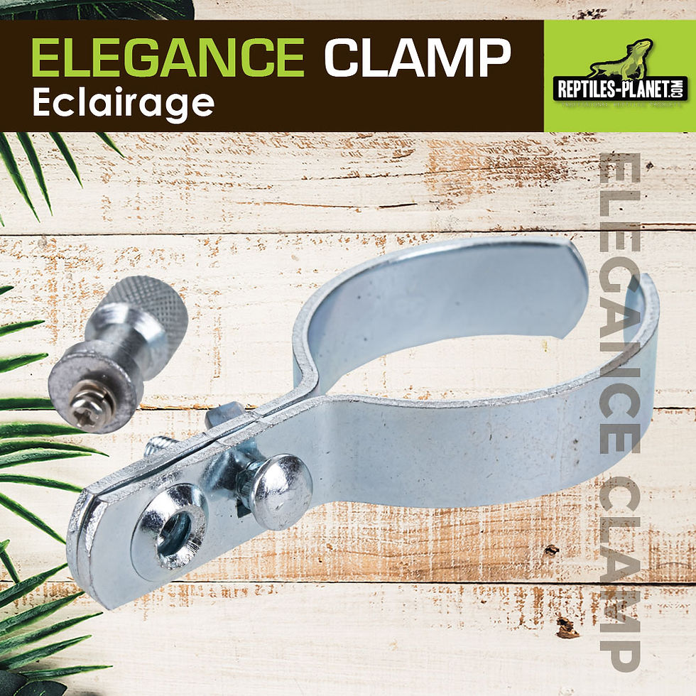 Miniaturbild: Elegance Clamp - Klemmbefestigung für Lampenhalterung
