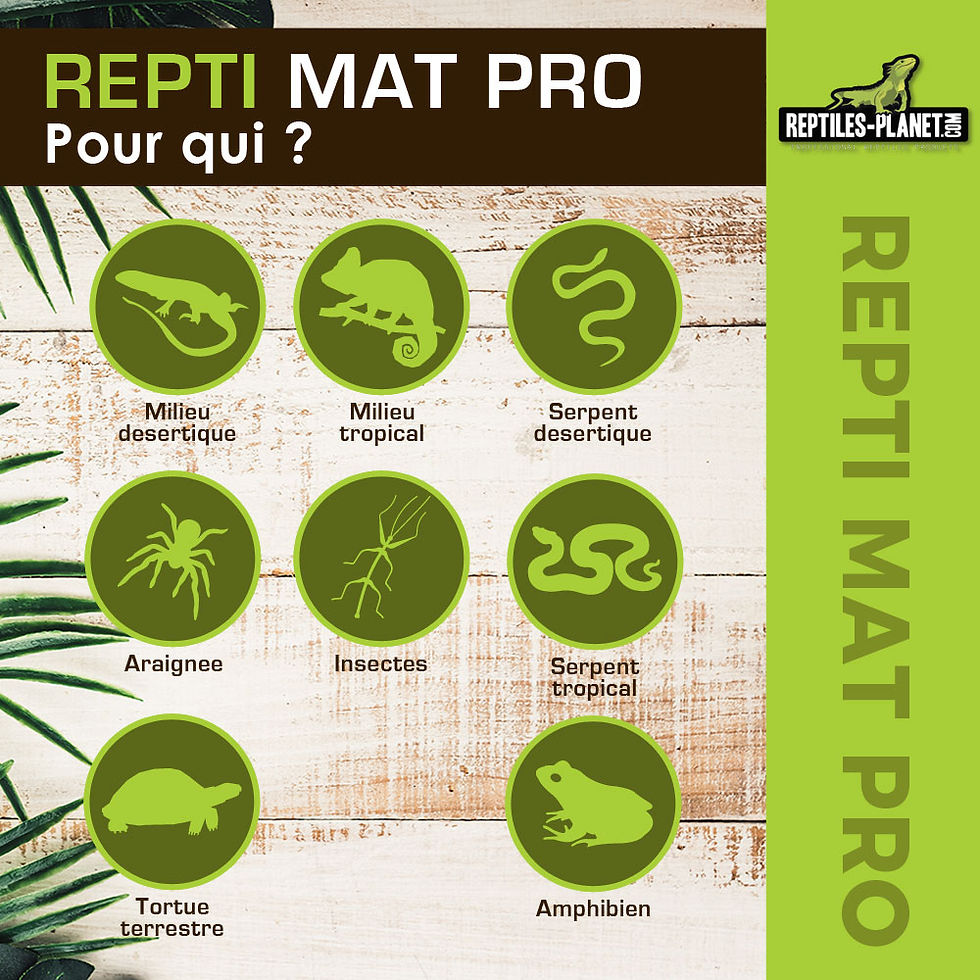 Miniaturbild: Repti Mat Pro - Heizmatte für Tropenterrarium - 8 W / 15x20 cm
