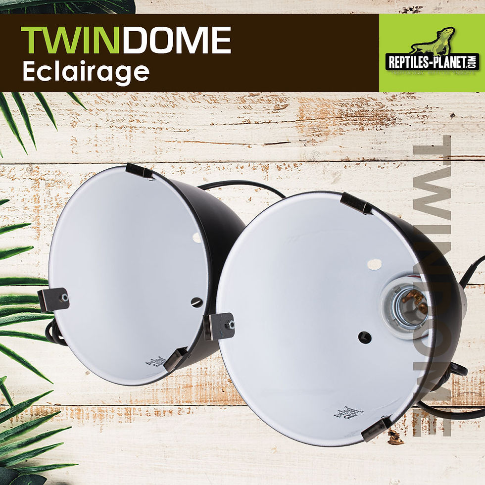 Miniatura: Twindome 16 - Suporte de Lâmpada para Pendurar ou Apoiar - Ø16 cm - H19 cm
