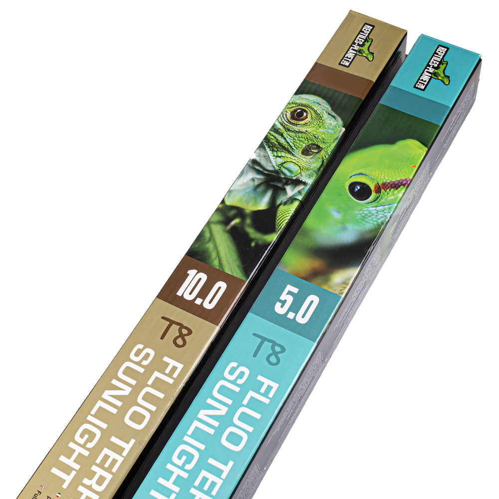 Tube fluorescent T8 pour reptiles