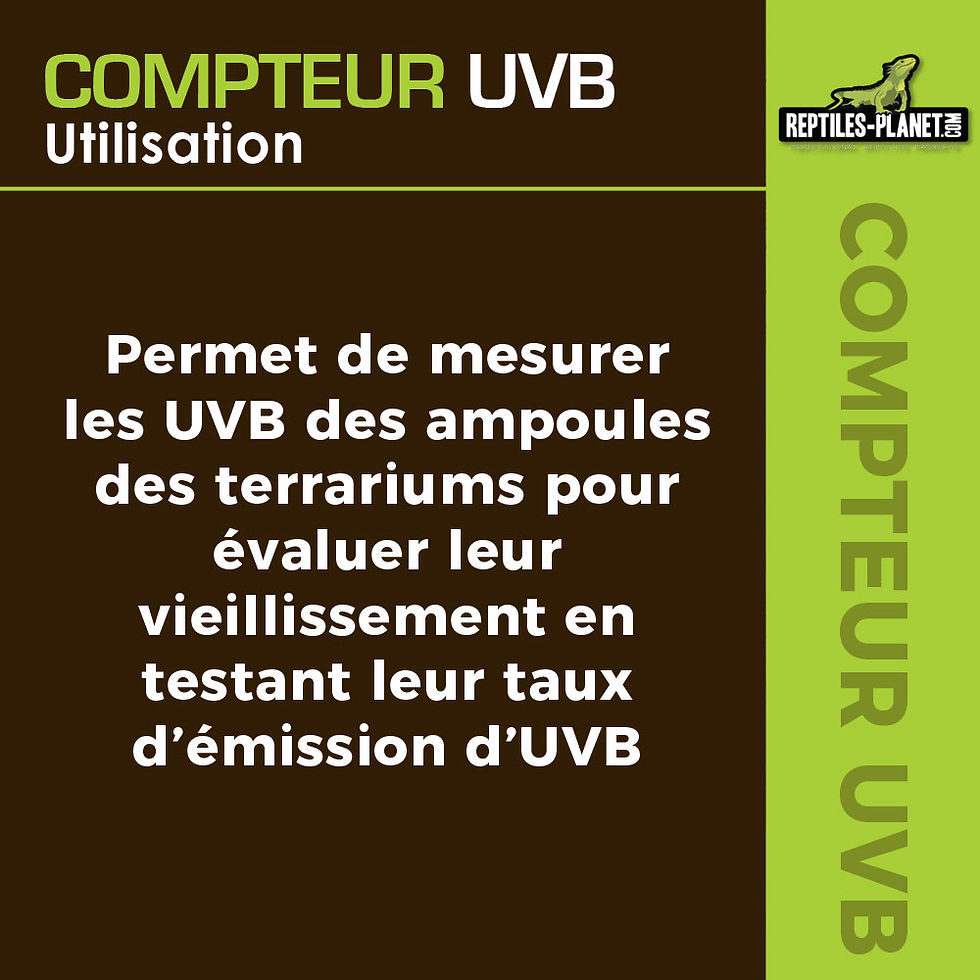 Miniaturbild: Professional UVB Meter - Professionelles Gerät zur Kontrolle der UVB-Strahlung
