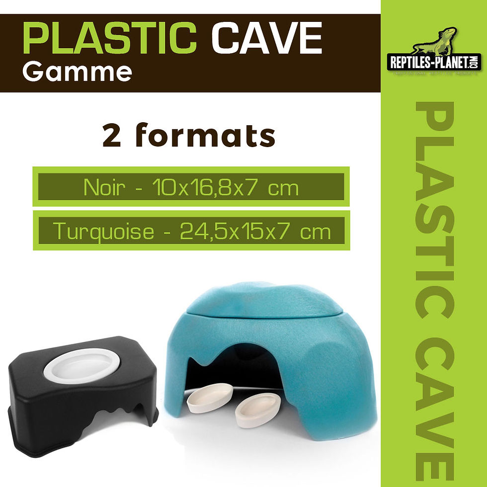 Miniatura: Plastic Cave With Bowl - Grotta in Plastica con Ciotola - Turchese - 24,5x15x7 cm
