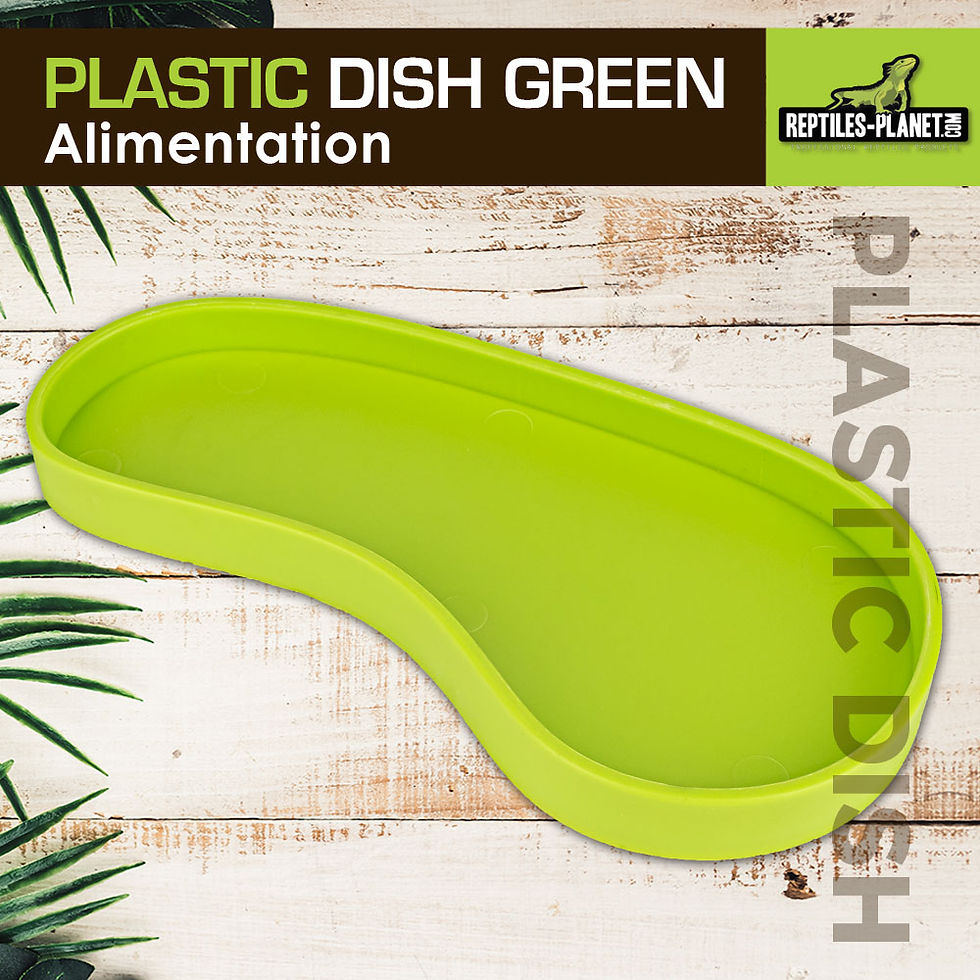 Miniaturbild: Plastic Dish Green L - Plastiknapf - Grün - 15x7,5x1,4 cm
