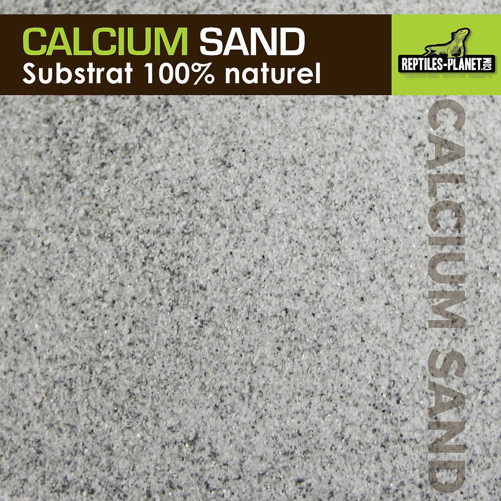 Miniatura: Calcium Sand Artic White - 5kg