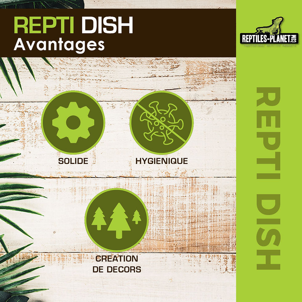 Thumbnail: Repti Dish S - Voerbak - 10x3x7 cm
