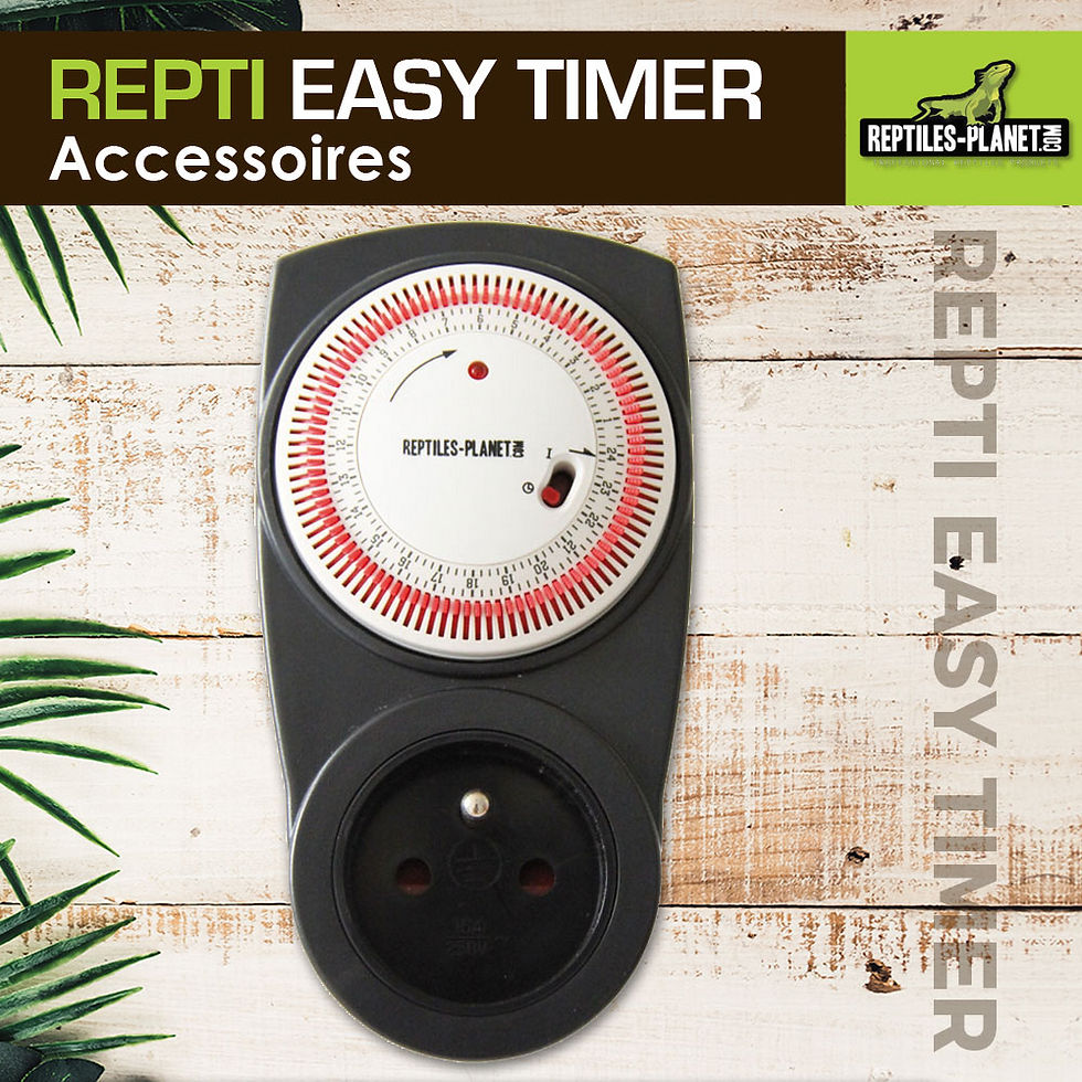 Miniatura: Repti Easy Timer