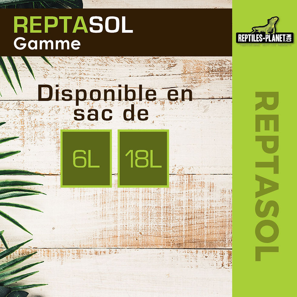 Thumbnail: Reptasol - Natural Substrate for Terrarium - Pine Bark - 6 Liters
