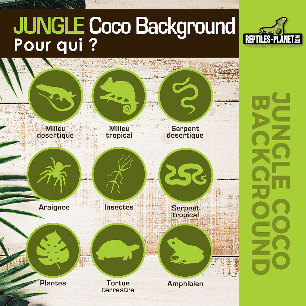 Miniature : Jungle Coco Background - Décor de Fond Naturel en Fibre de Coco - 40x40x1 cm
