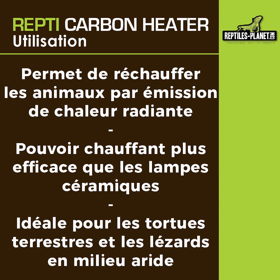 Thumbnail: Repti Carbon Heater - Infrarood verwarmingslamp - 50 W
