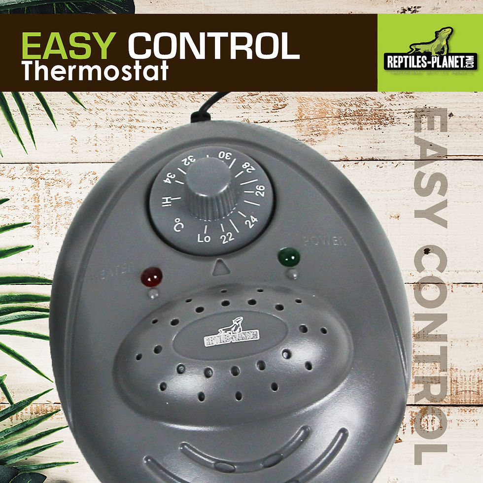 Miniatura: Easy Control - Termostato para Terrário

