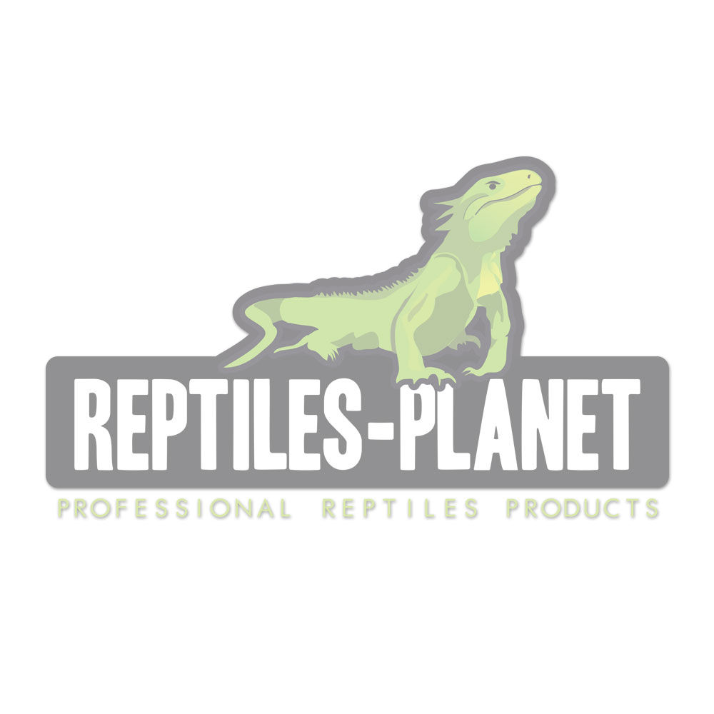 Cachette roche pour reptiles